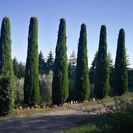 Вілла Casa Marconi Vetriano Екстер'єр фото