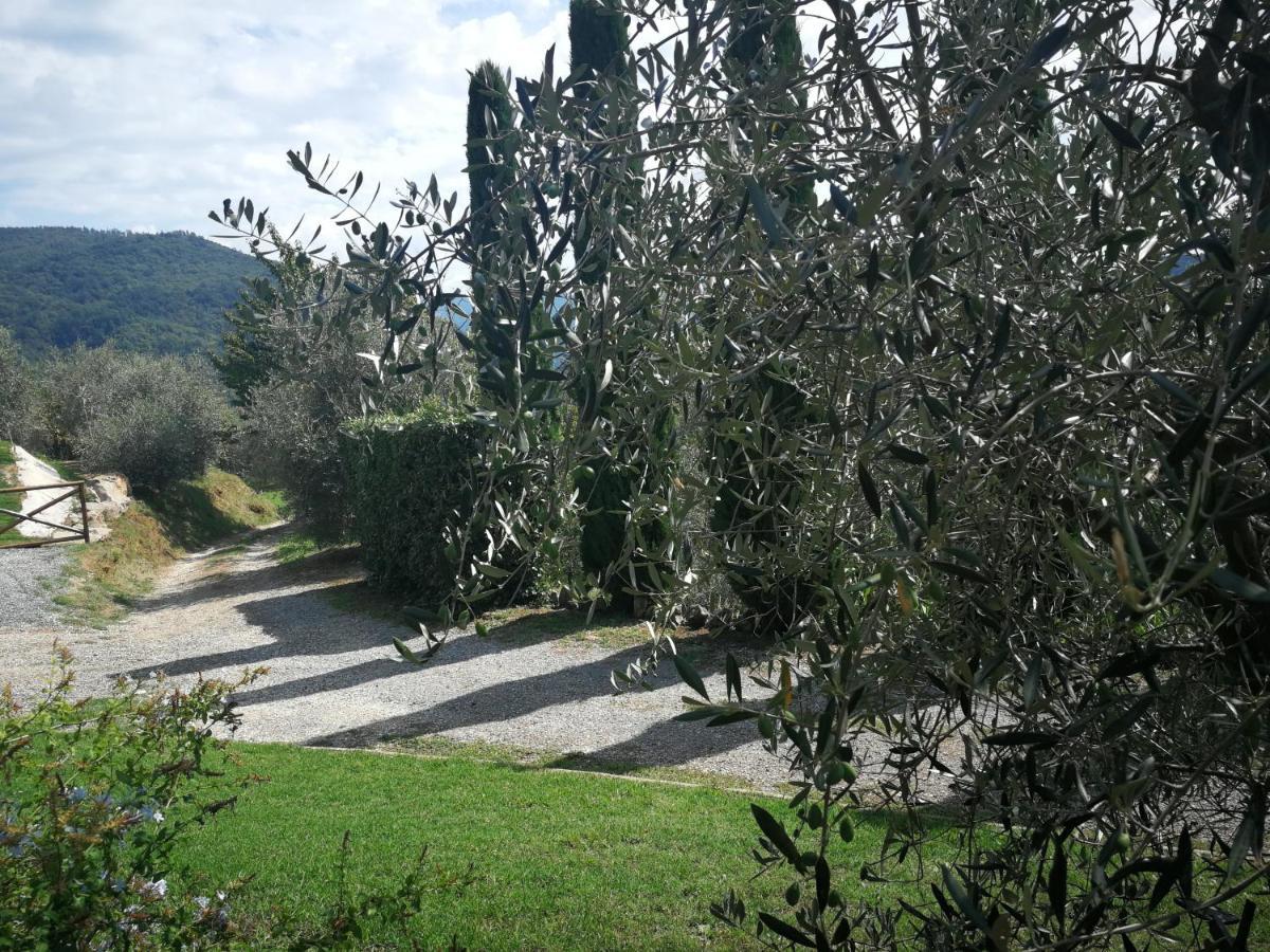 Вілла Casa Marconi Vetriano Екстер'єр фото